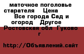 маточное поголовье старателя  › Цена ­ 3 700 - Все города Сад и огород » Другое   . Ростовская обл.,Гуково г.